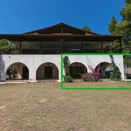 Chalkidiki Beachfront Haven - Perfect Location Nikiti  Esterno foto