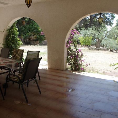Chalkidiki Beachfront Haven - Perfect Location Nikiti  Esterno foto