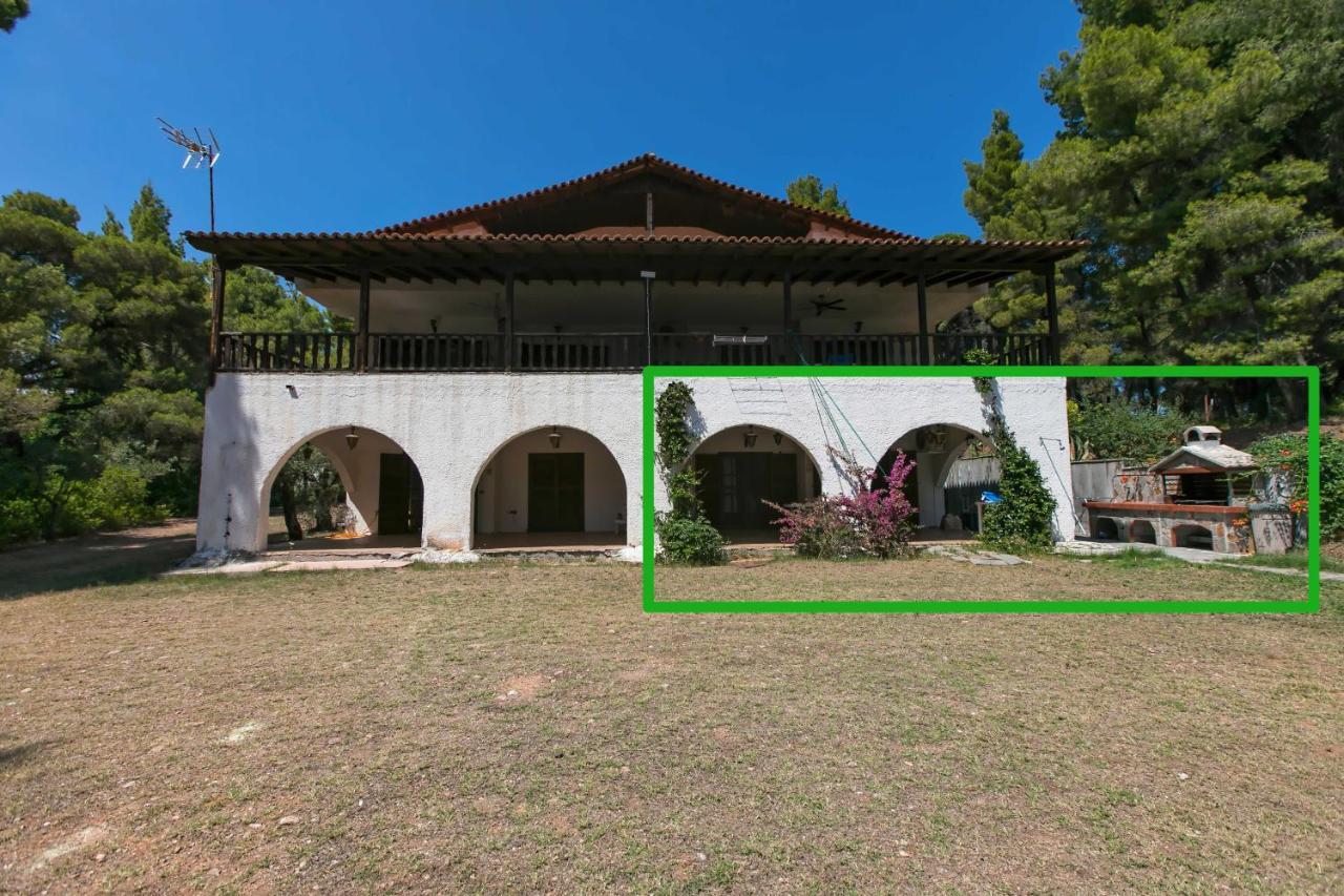 Chalkidiki Beachfront Haven - Perfect Location Nikiti  Esterno foto