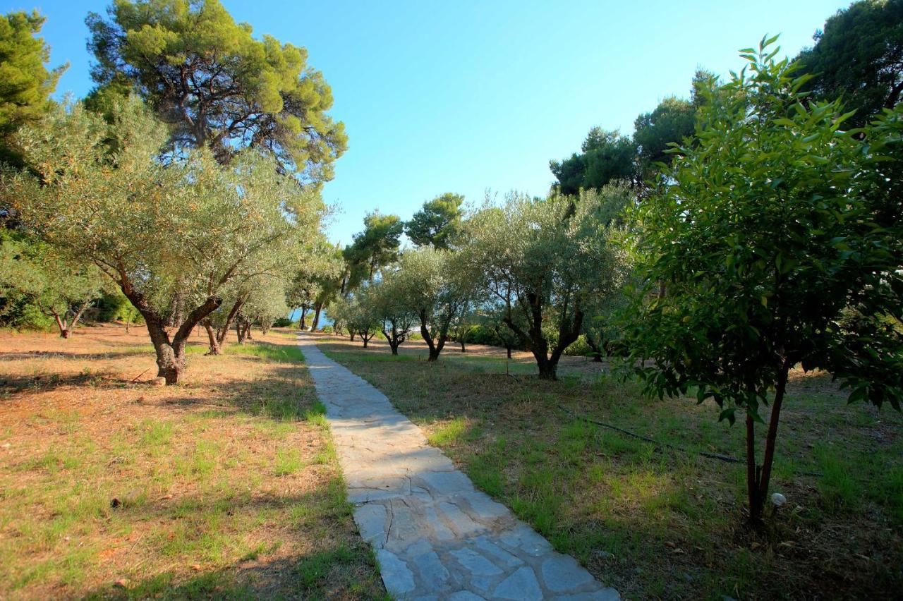 Chalkidiki Beachfront Haven - Perfect Location Nikiti  Esterno foto